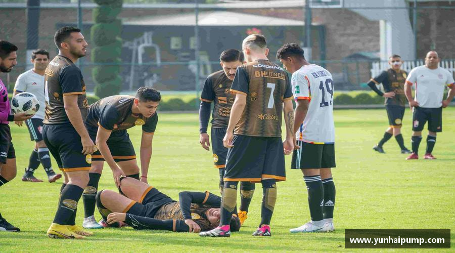 庄闲游戏APP勇攀高峰，梦想飞扬